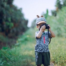 boy-using-camera-near-green-leaf-plants-1374510