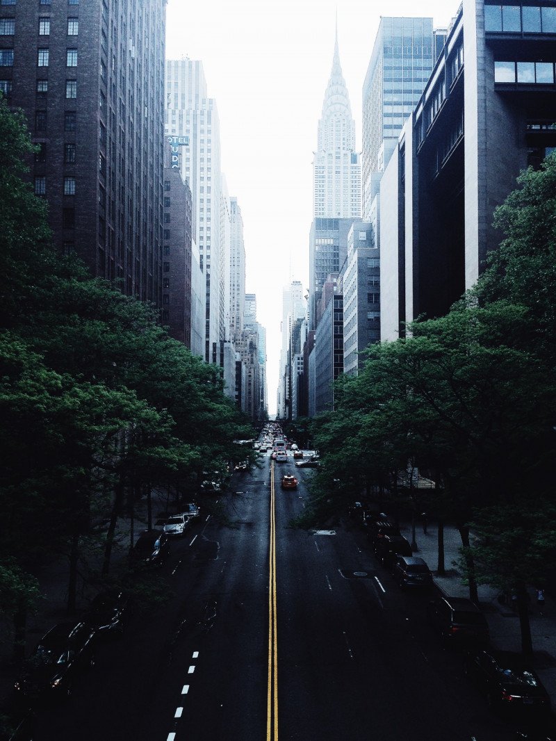 white-and-red-car-on-black-concrete-narrow-road-in-between-129830-2